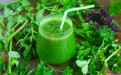 Blends Blog: Organic Greens