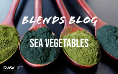 Sea Vegetables: The Missing Greens and Reds in Your Diet
