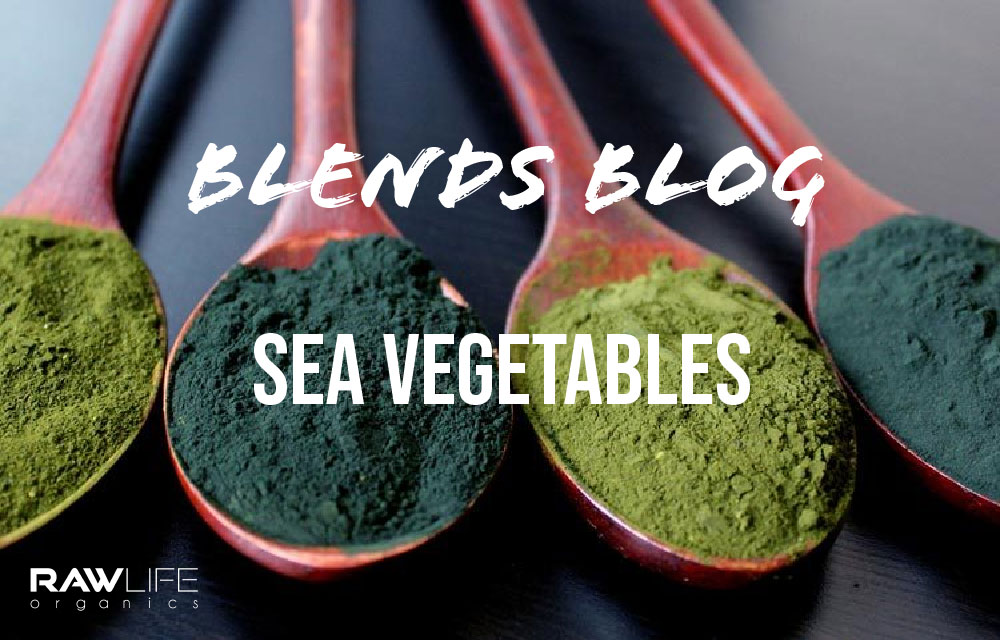 Sea Vegetables: The Missing Greens and Reds in Your Diet