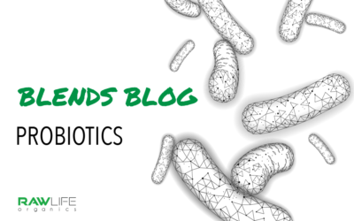 Blends Blog: Probiotics