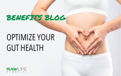 Benefit Blog #2 – Optimize Your Gut Health